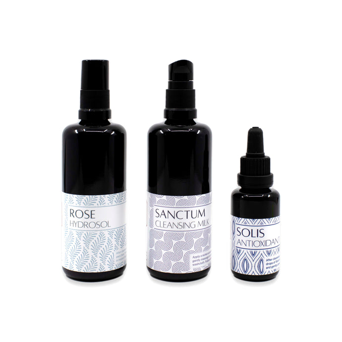 Radiant Skin Bundle | Daily Ritual