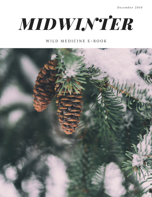Midwinter Wild Medicine E-Book {Full Version}