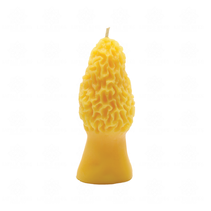 Morel Mushroom | Beeswax Candle