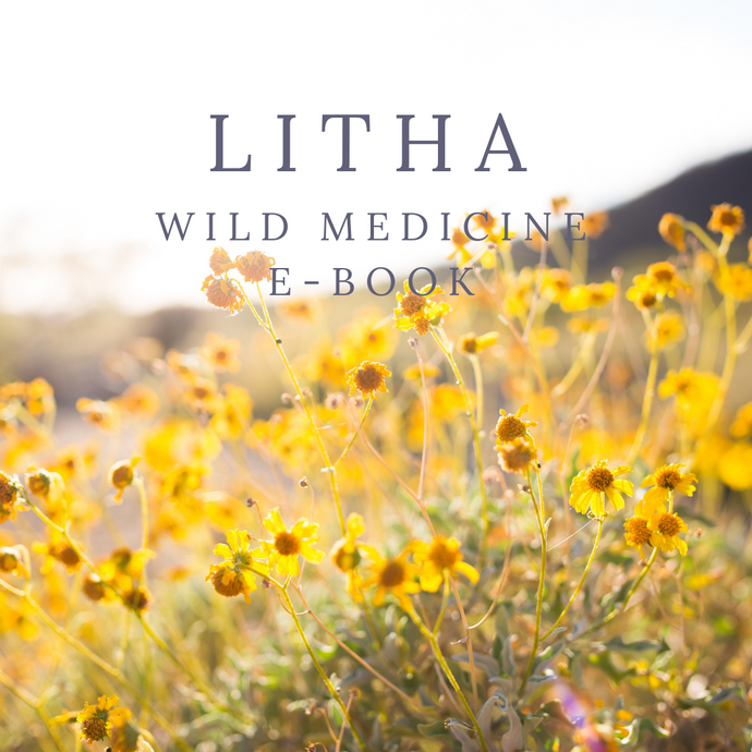 Litha Wild Medicine E-Book (Full Version)