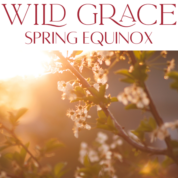 Wild Grace Seasonal Energetics & Skincare: Spring Edition