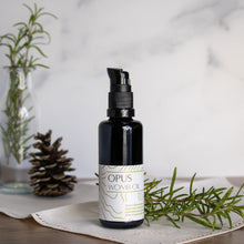 Bottle of Opus Womb Oil on a linen handkerchief with rosemary and a pinecone surrounding it