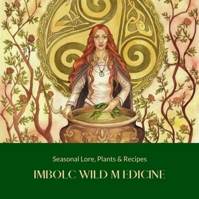 Imbolc Wild Medicine E-Book {Full Edition}