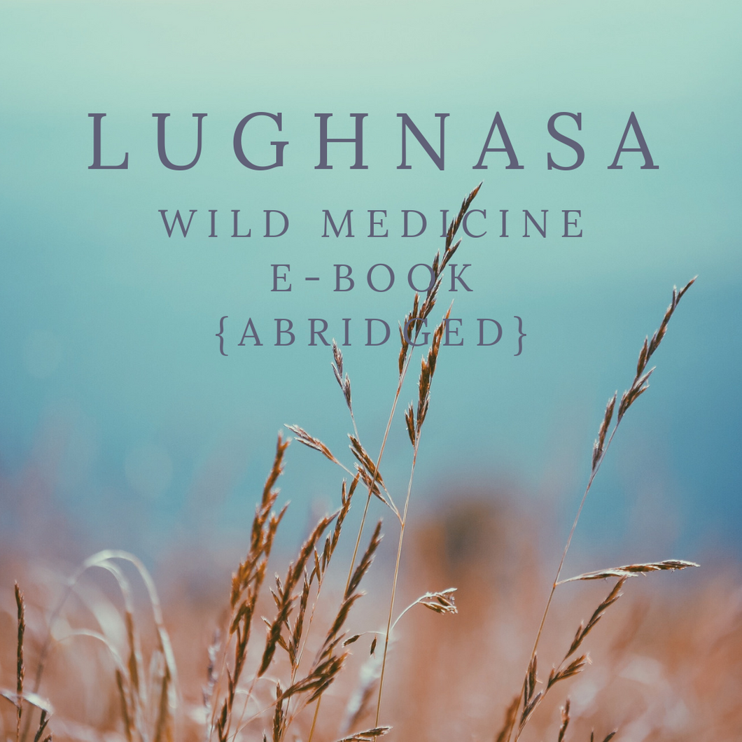 Lughnasa Wild Medicine E-Book {Abridged}