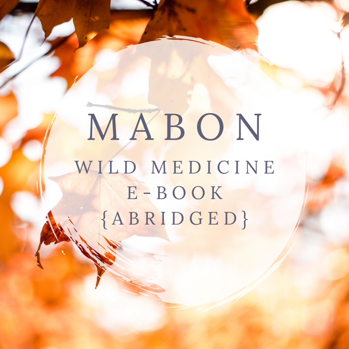 Mabon Wild Medicine E-Book (Abridged)