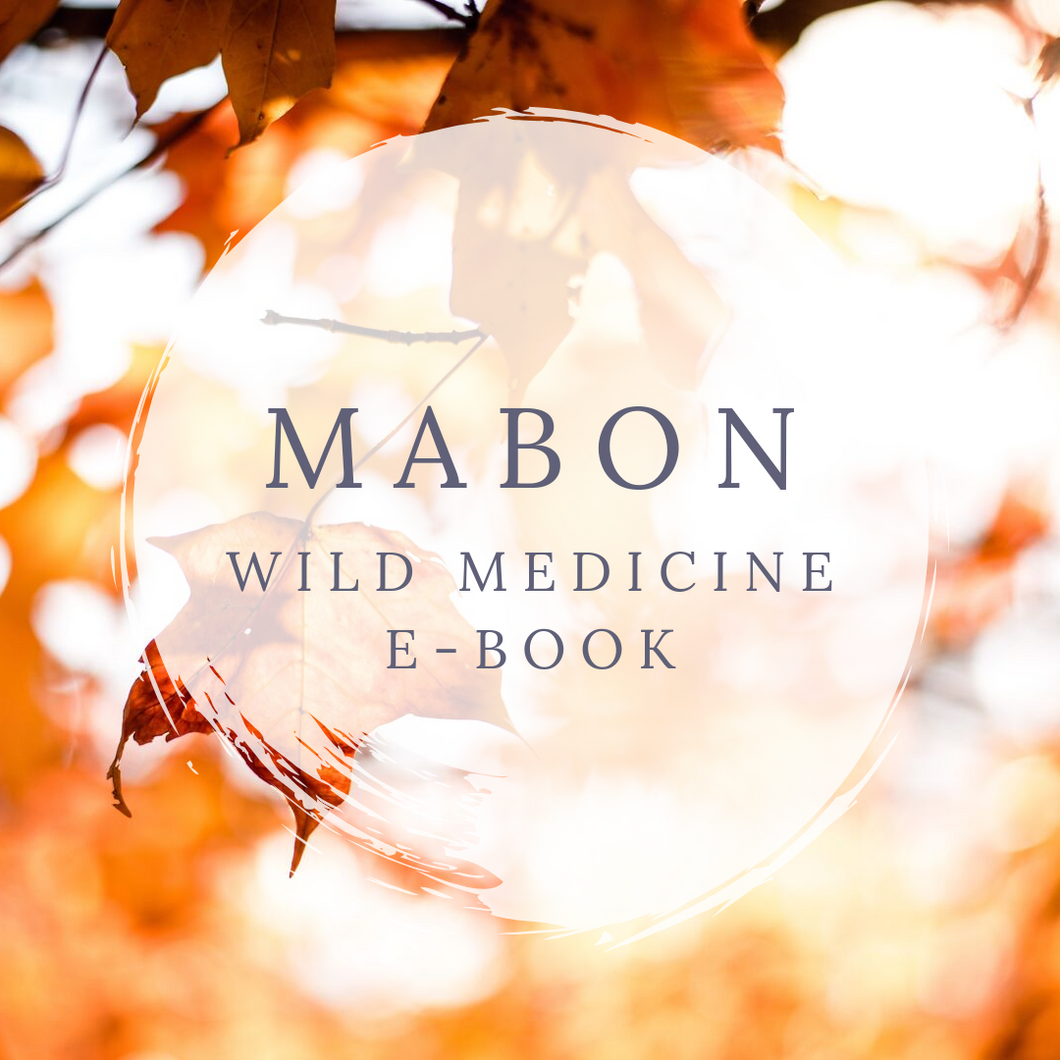 Mabon Wild Medicine E-Book