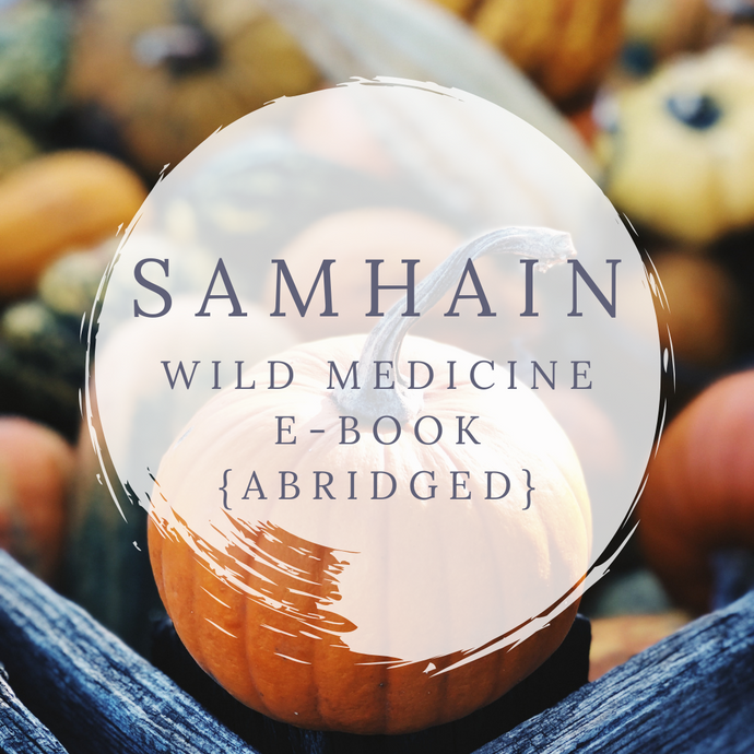 Samhain Wild Medicine E-Book (Abridged)
