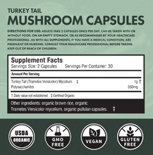 Turkey Tail Mushroom Capsules