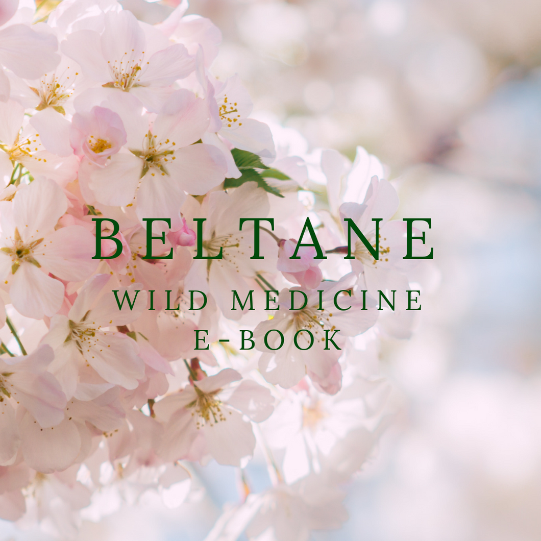 Beltane Wild Medicine E-Book (Full Version)