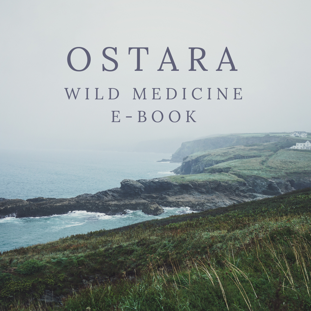 Ostara Wild Medicine E-Book {Abridged}