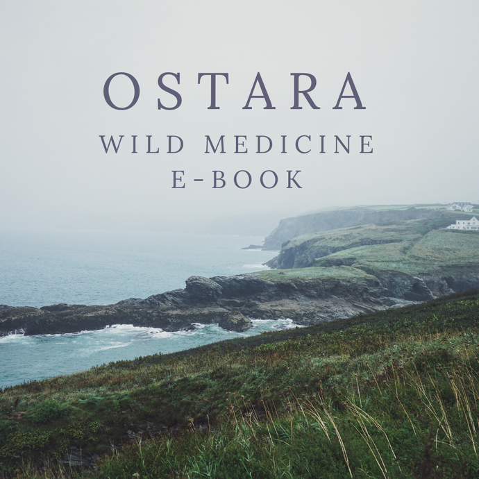 Ostara Wild Medicine E-Book (Full Version)